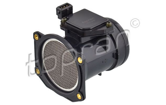 Air mass meter