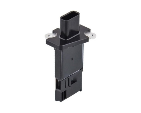 Air mass meter