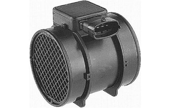 Air Mass Sensor