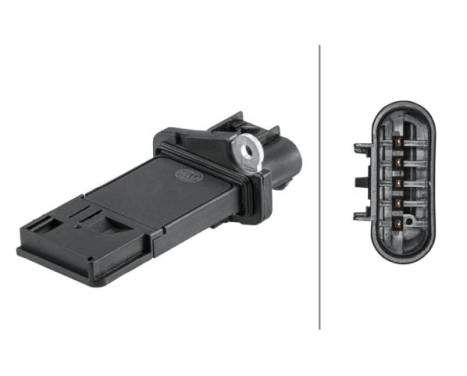 Air Mass Sensor