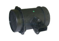 Air mass sensor