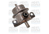 Fuel pressure regulator
