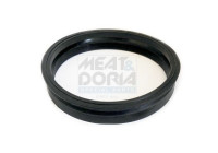 Seal, fuel tank lock