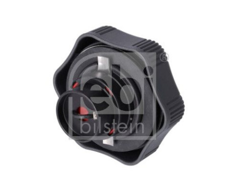 Lock, fuel tank 180326 FEBI, Image 3