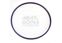 Seal, fuel cap