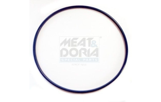 Seal, fuel cap