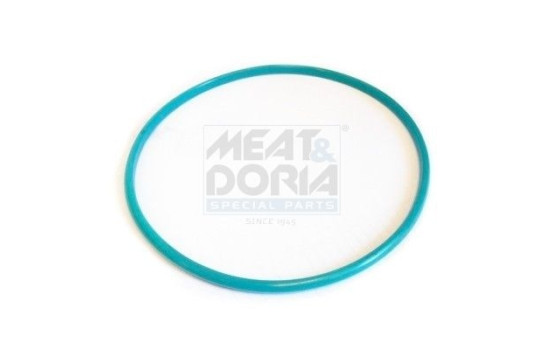 Seal, fuel cap