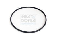 Seal, fuel cap