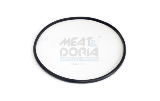 Seal, fuel cap