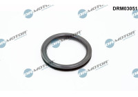 Seal, fuel cap