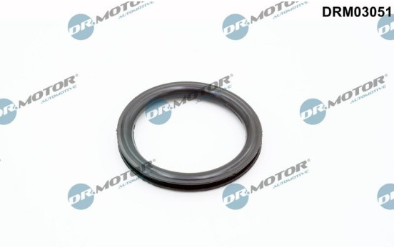 Seal, fuel cap