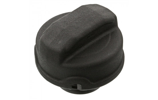 Sealing Cap, fuel tank 01226 FEBI