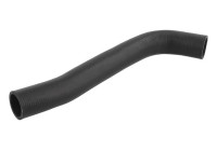 fuel hose