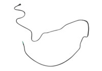 Fuel line