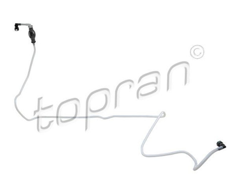 Fuel Line