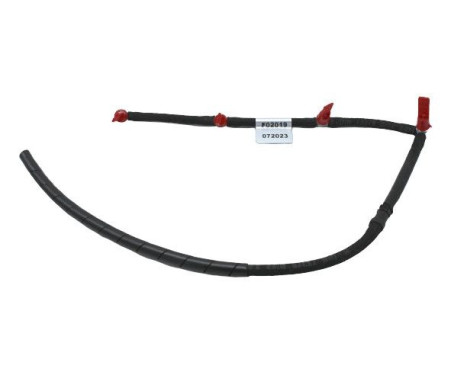Hose, fuel leak
