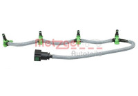 Hose, fuel leak