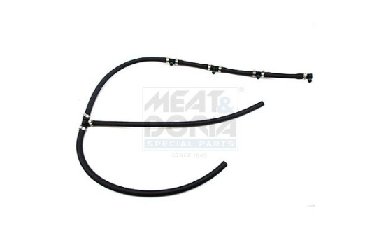Hose, fuel leak
