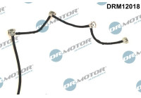 Hose, leaking fuel