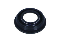 Gasket, injector holder