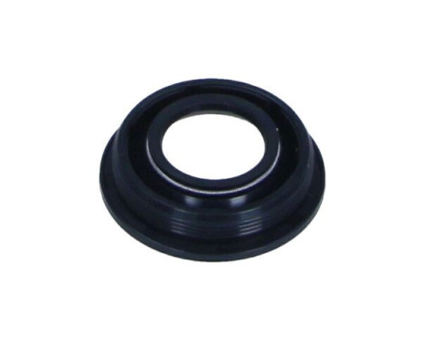 Gasket, injector holder