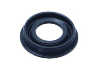Gasket, injector holder