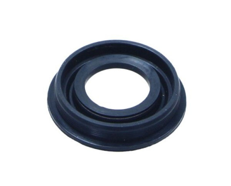 Gasket, injector holder