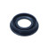 Gasket, injector holder
