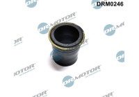 Gasket, injector holder