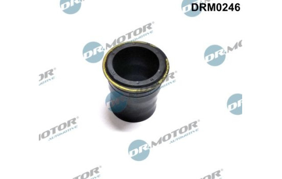 Gasket, injector holder