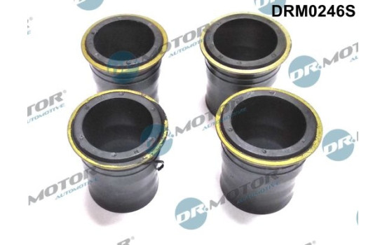 Gasket, injector holder