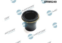 Gasket, injector holder