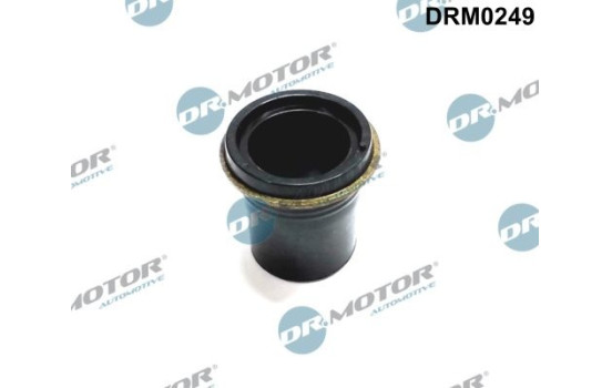 Gasket, injector holder