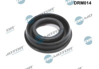 Gasket, injector holder