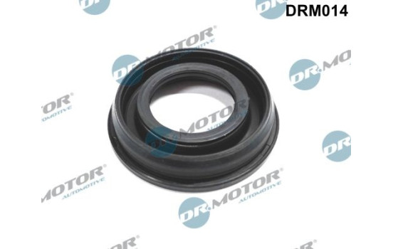 Gasket, injector holder