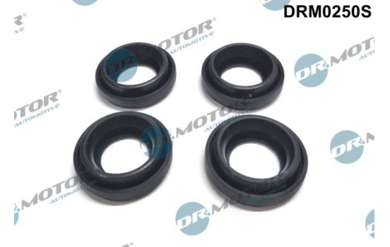 Gasket, injector holder