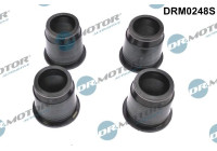 Gasket, injector holder