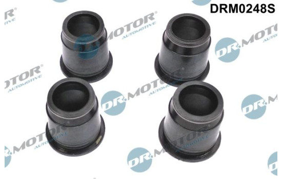Gasket, injector holder