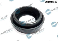 Gasket, injector holder