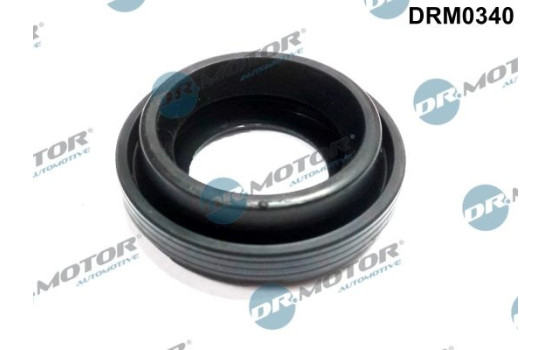 Gasket, injector holder