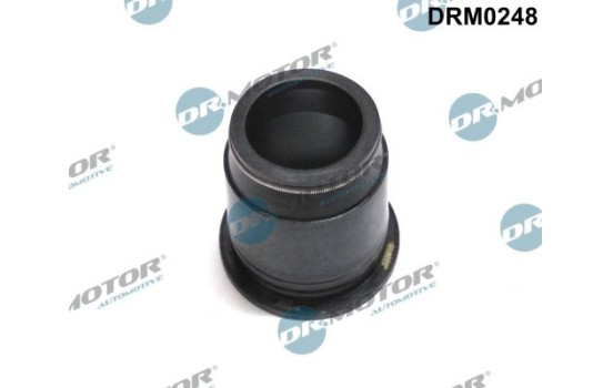 Gasket, injector holder