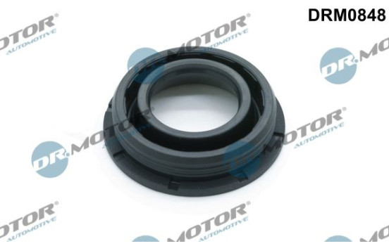 Gasket, injector holder