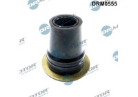 Gasket, injector holder