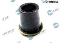 Gasket, injector holder