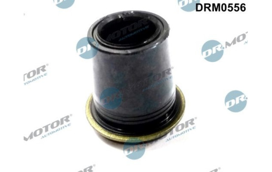 Gasket, injector holder