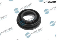 Gasket, injector holder