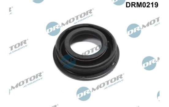 Gasket, injector holder