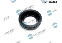 Gasket, injector holder