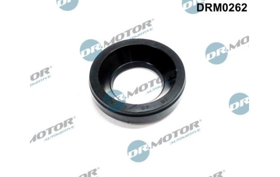 Gasket, injector holder