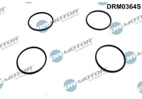 Gasket, injector holder